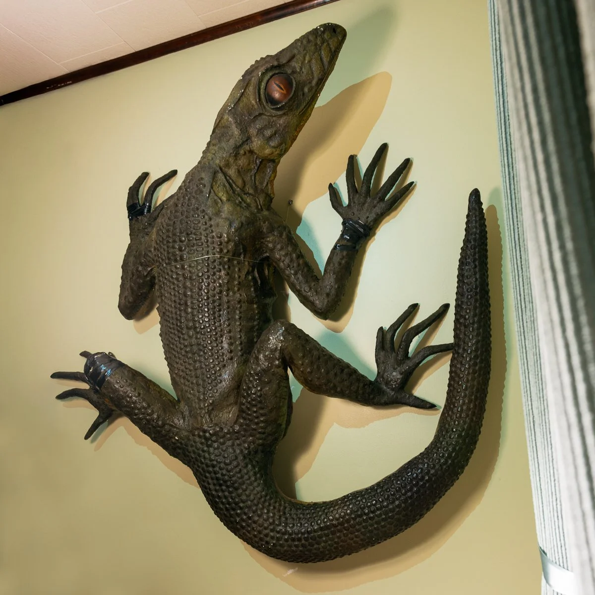 Paper Mache Lizards on the Wall
