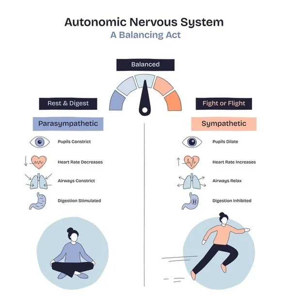 DAY 5
Science vs Fiction, Natural Medicine Holiday Edition
Fiction
Natural medicine ignores mental health care.🧠
Fact
The nervous system is the bridge between physical and emotional health. Science-based natural medicine supports therapy, psychiatry