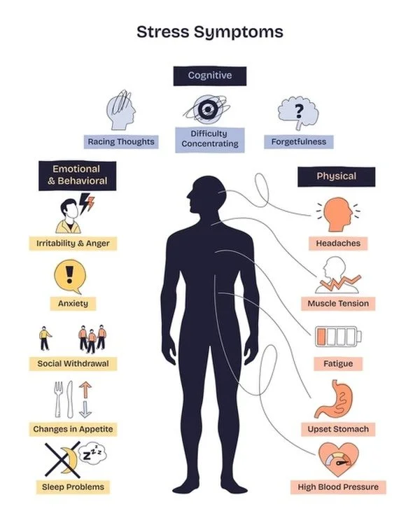 EVER NOTICE YOU DOING THIS?

Doom scrolling at night
Binge watching just to settle down
Getting startled easily
Feeling overly sensitive to criticism
Always a little on edge

THIS ISN&rsquo;T RANDOM.

These are often signs of a nervous system stuck i
