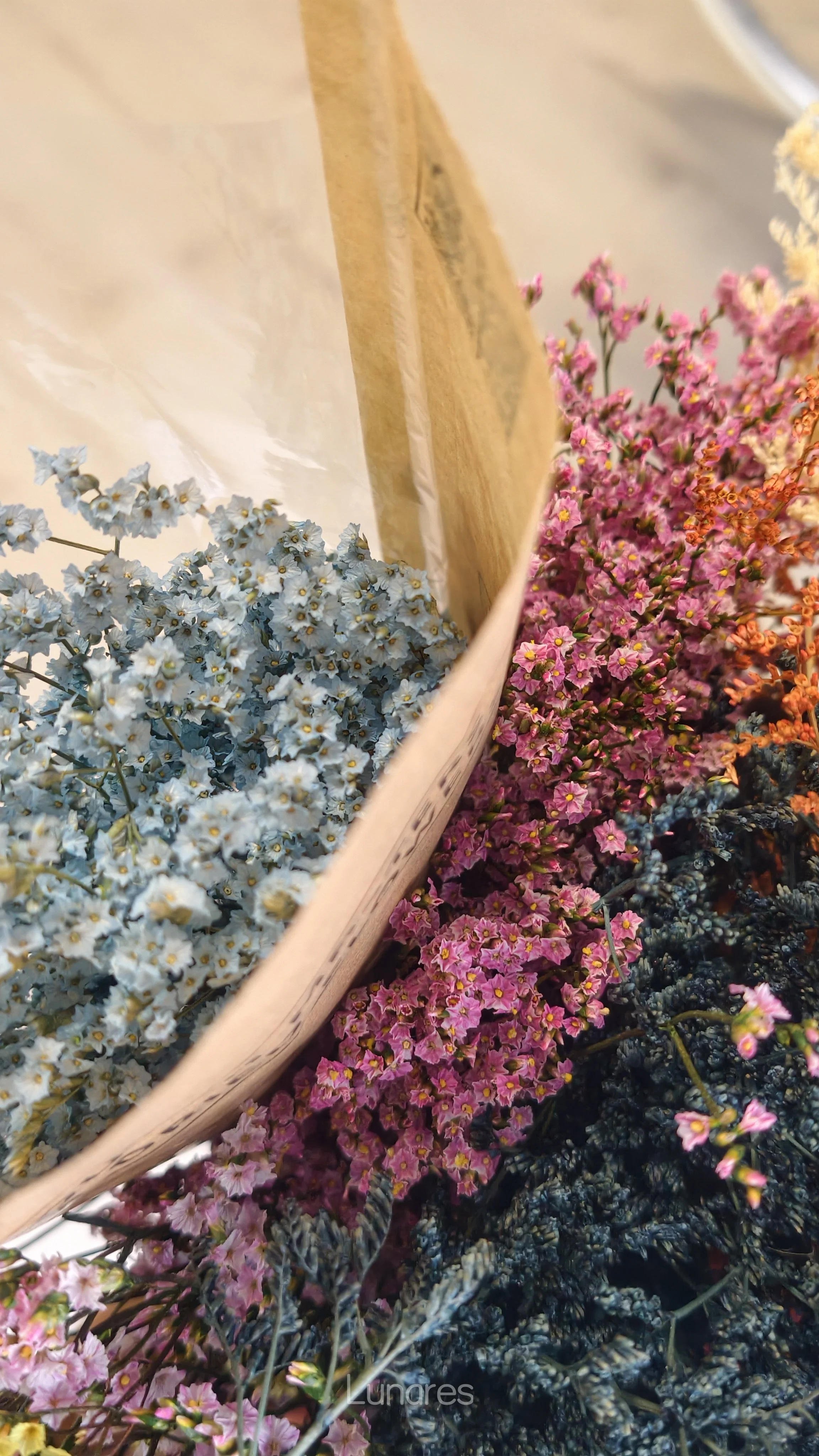 limonium