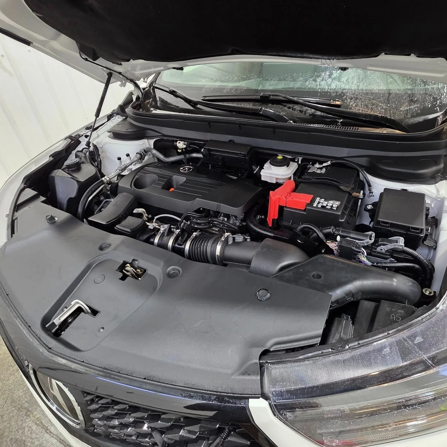 SUNDAY GRATITUDE: Thank You, Red Deer! 🙏

In just a few weeks, you've trusted us with:
✓ Brand new 2025 Silverados
✓ Family Yukons and Escapes
✓ Work trucks needing restoration
✓ Daily drivers deserving care

Every vehicle gets the same attention an