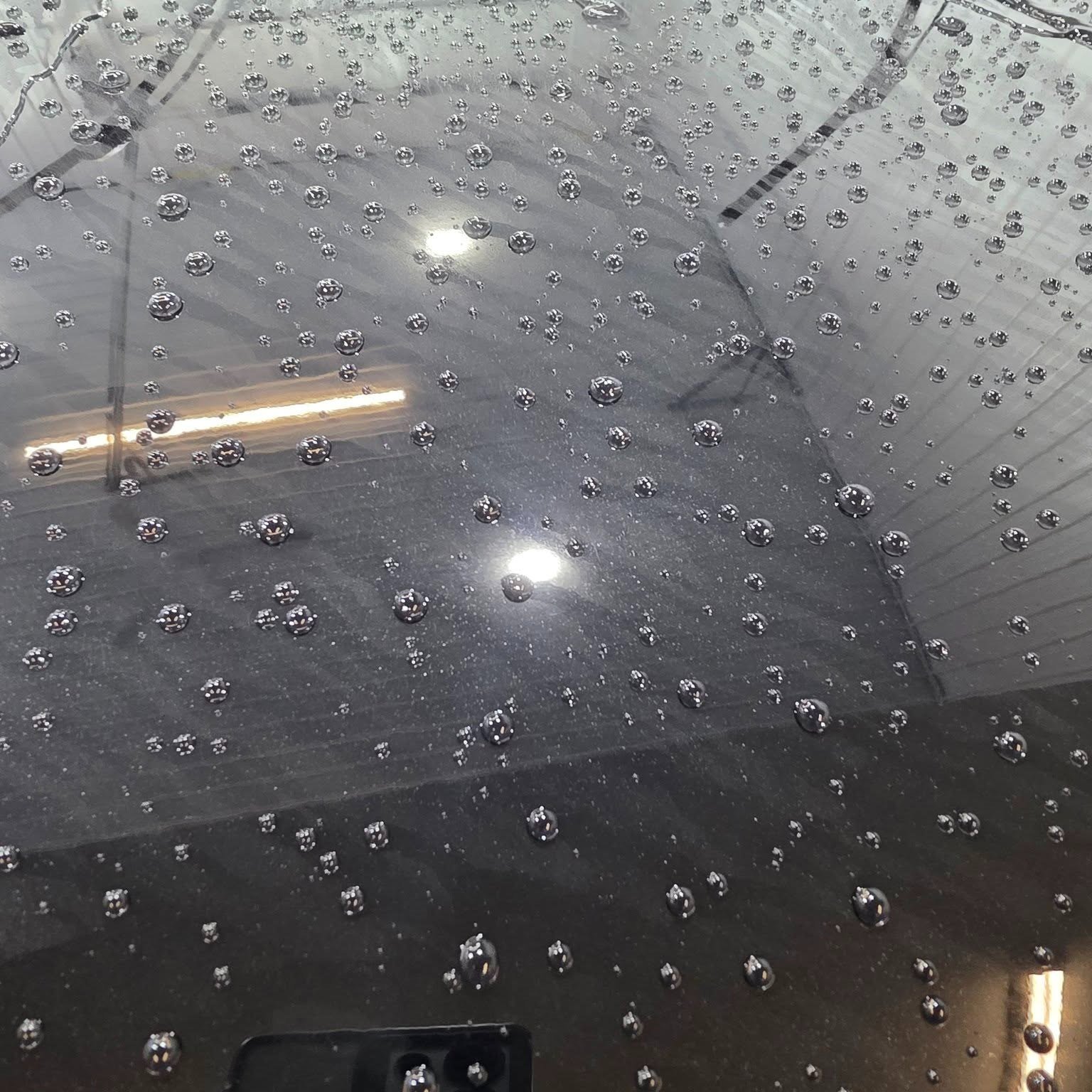 Winter did damage to your paint whether you can see it or not.

Road salt corrodes exposed metal and accelerates clear coat degradation. UV exposure &mdash; yes, even through clouds &mdash; oxidizes paint surface. Gravel trucks and winter driving add