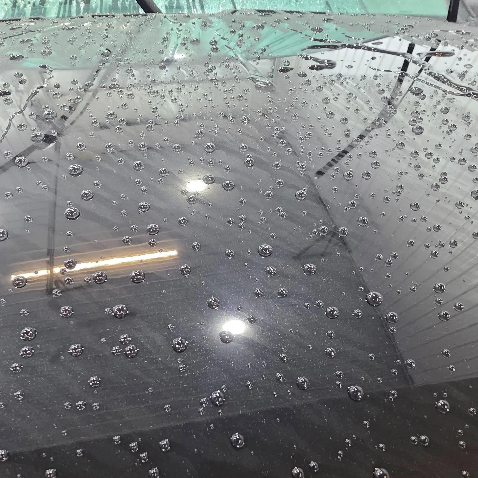 Summer is coming fast in Alberta &mdash; bugs, bird droppings, tree sap, and strong UV are right around the corner.

Ceramic coating makes all of that much easier to handle. Water, dirt, and bugs bead up and slide off. Bird droppings wipe away before