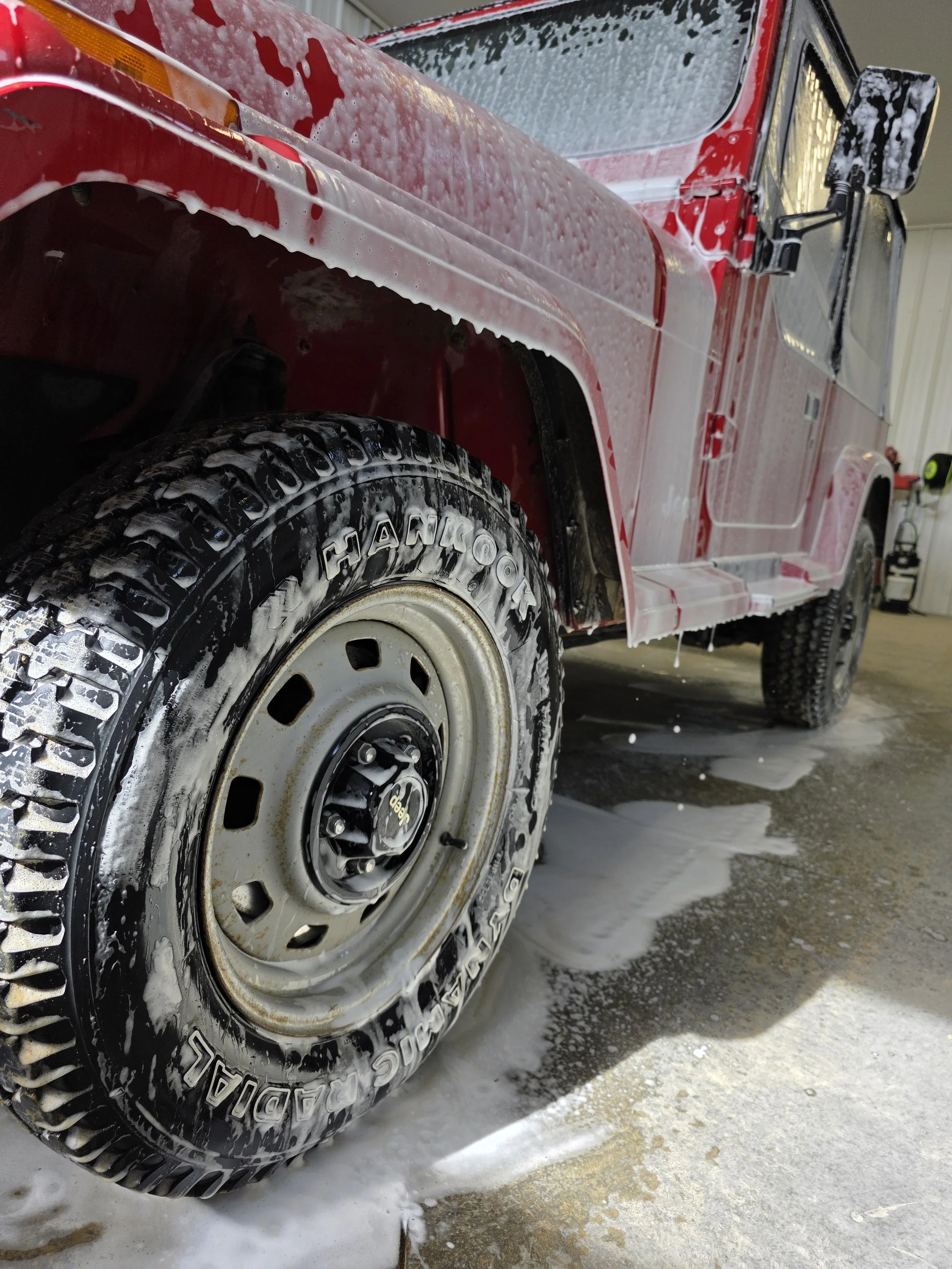 Iron Remover / Shampoo