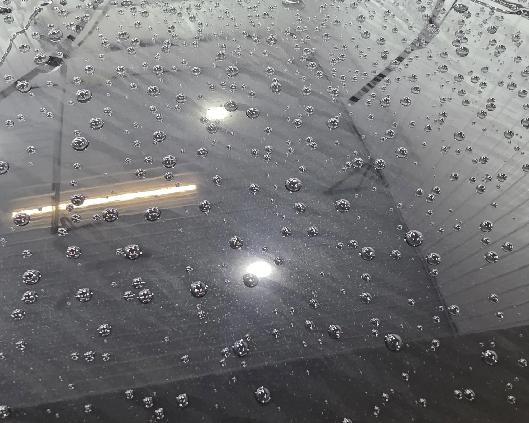 Ceramic Coating 2024 Ford F-150 Tremor Primitive Notions Red Deer