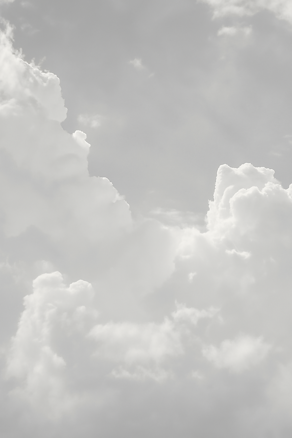 Copilot_20250725_162710.png