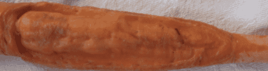 A close-up of a carrot with an image naturally incised in it.