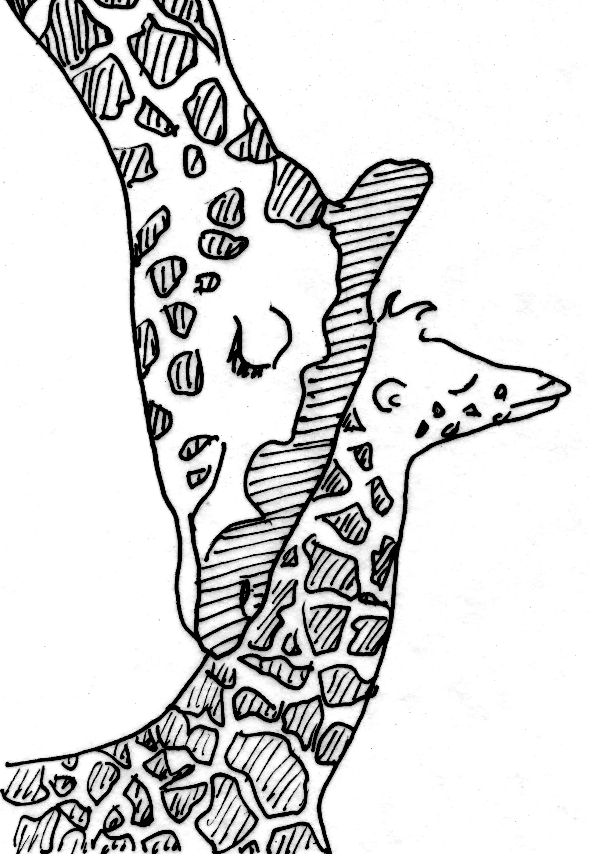 A black and white line drawing of a woman with closed eyes and long hair, with a star-shaped outline filled with various geometric patterns.