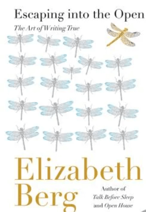 Book cover titled "Escaping into the Open: The Art of Writing True" by Elizabeth Berg, featuring a pattern of blue and gray dragonflies and one yellow dragonfly at the top right.