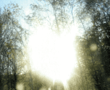 Bright sunlight streaming through a canopy of trees against a blue sky. Text: "Shifting Consciousness -- The Secret of Writing from the Deeper Self."