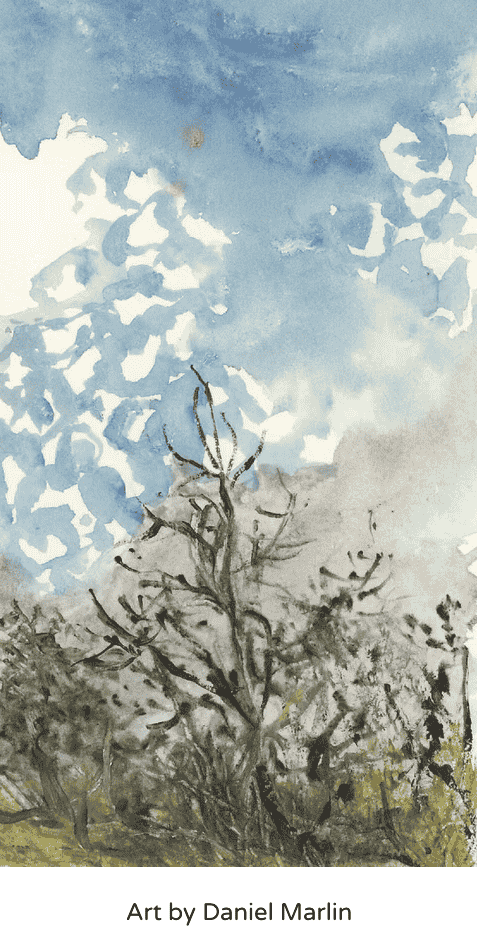 Watercolor painting by Daniel Marlin of leafless trees and brush under a partly cloudy blue and gray sky.