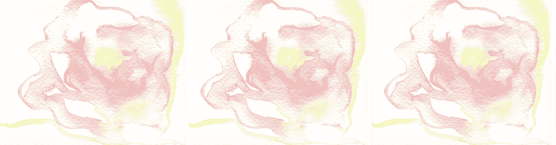Banner, repeats of soft watercolor painting of a pink rose.