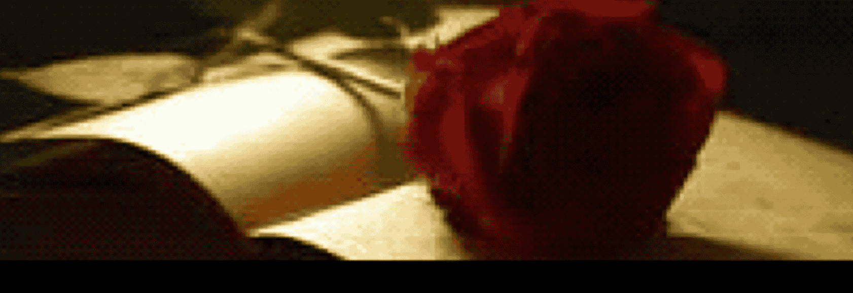 An open book with red rose against a dark background, representing the blend of writing and beauty in the sanctuary space