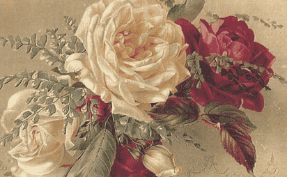 Vintage-style botanical illustration of cream and burgundy roses with green foliage on a tan background