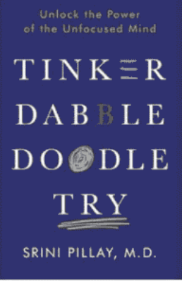 Book cover titled 'Tinker Dabble Doodle Try' by Srini Pillay, M.D., with a dark blue background and white text.