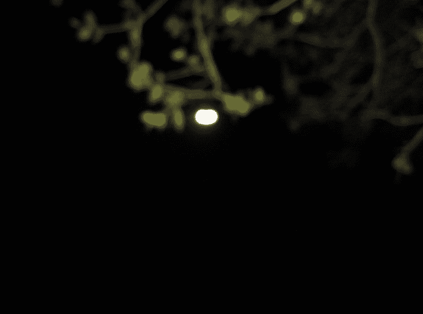 A small luminous moon glowing against a deep night sky, seen through softly blurred tree branches — a single point of light in the darkness, quietly present and waiting to be found.