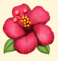 Decorative red hibiscus flower icon.