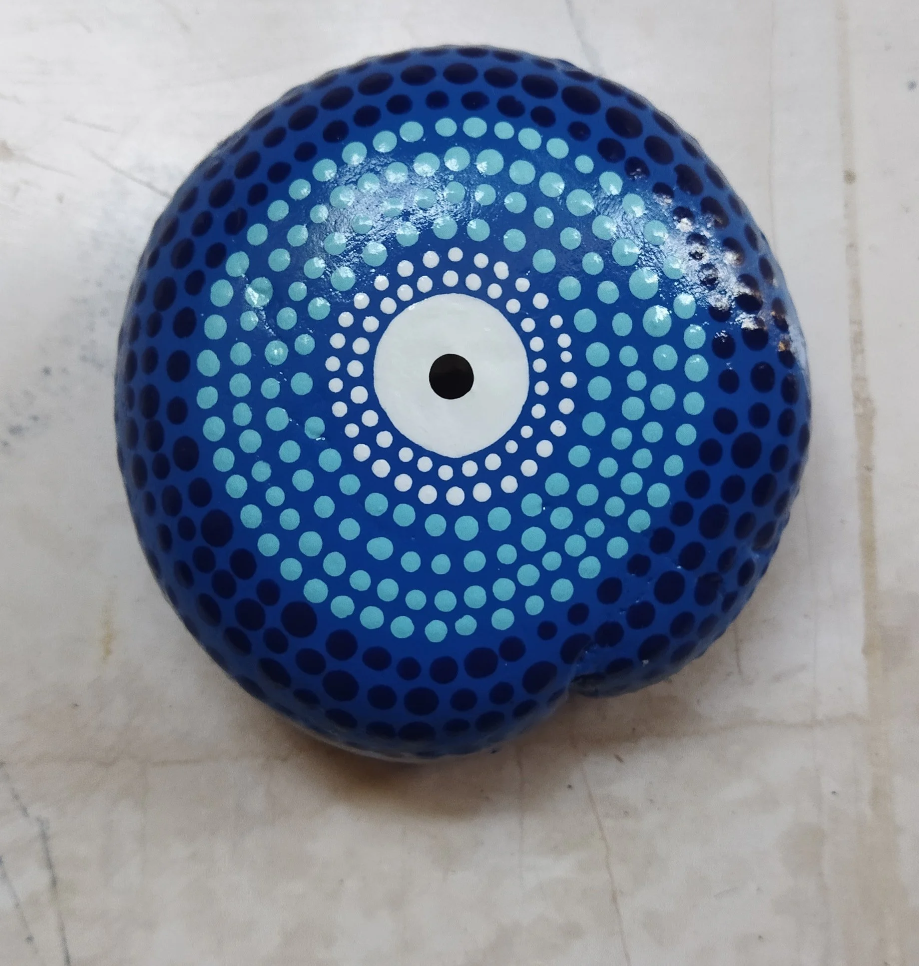 1000025637.jpg