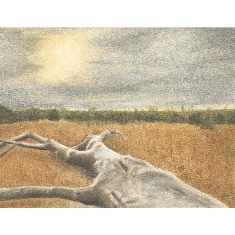 WEB Emotion - 'Fallen Twig' - Pastel.jpg