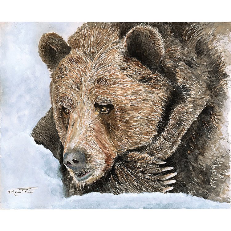 WEB Lodge - Papa Bear at Rest - WC.jpg