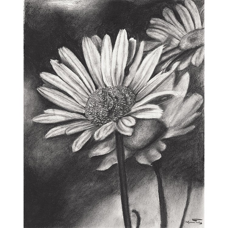 WEB Bloom - Daisy - Charcoal.jpg
