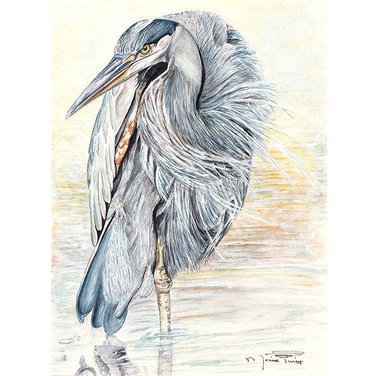 WEB SeaSide - Solitary Strength (Blue Heron) - WC.jpg