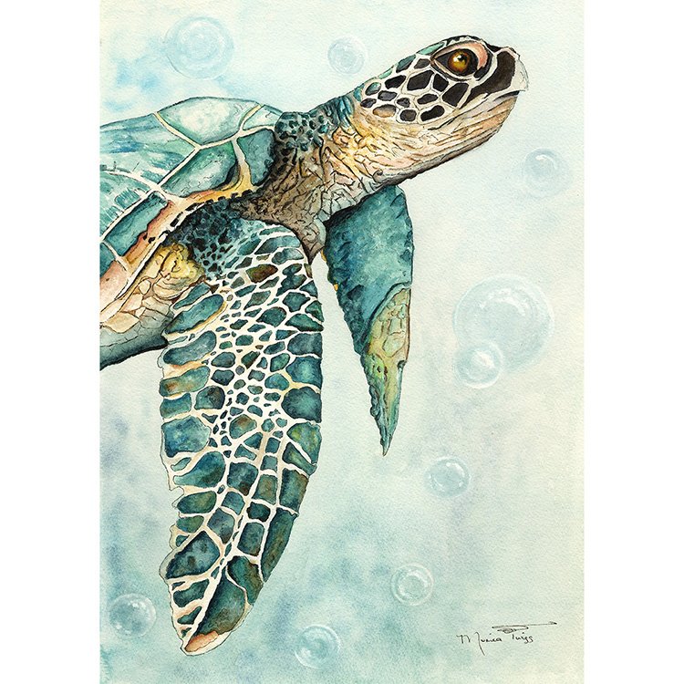 WEB SeaSide - The Topsail Turtle - WC.jpg