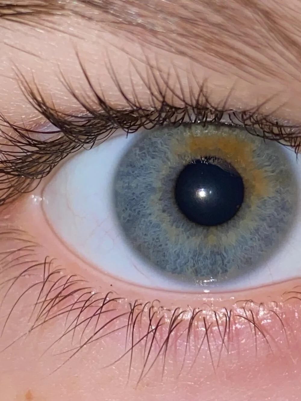 Nahaufnahme eines blauen, grünlich-grauen Auges mit geöffnetem Lid und langen Wimpern.