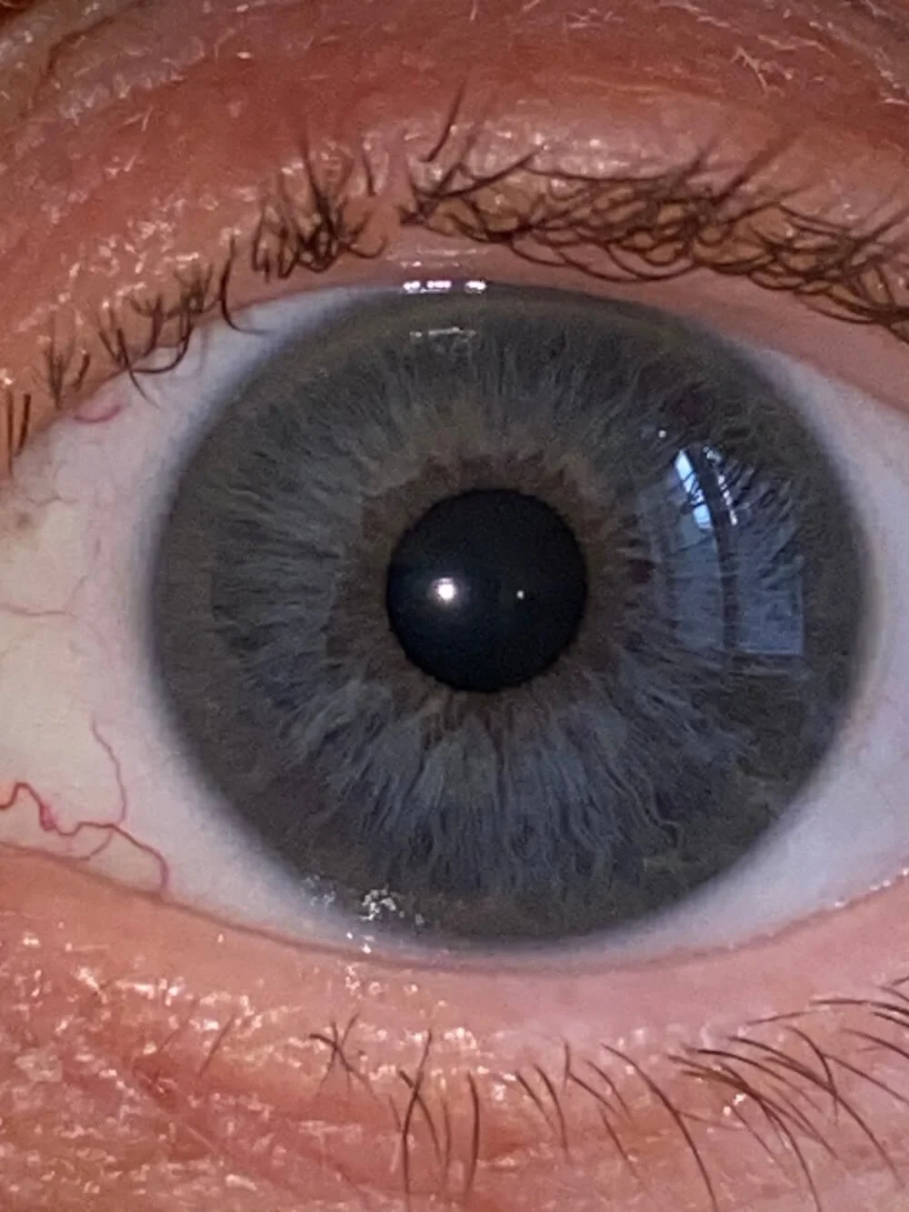 Nahaufnahme eines menschlichen Auges mit grauem Iris und Augenlidern