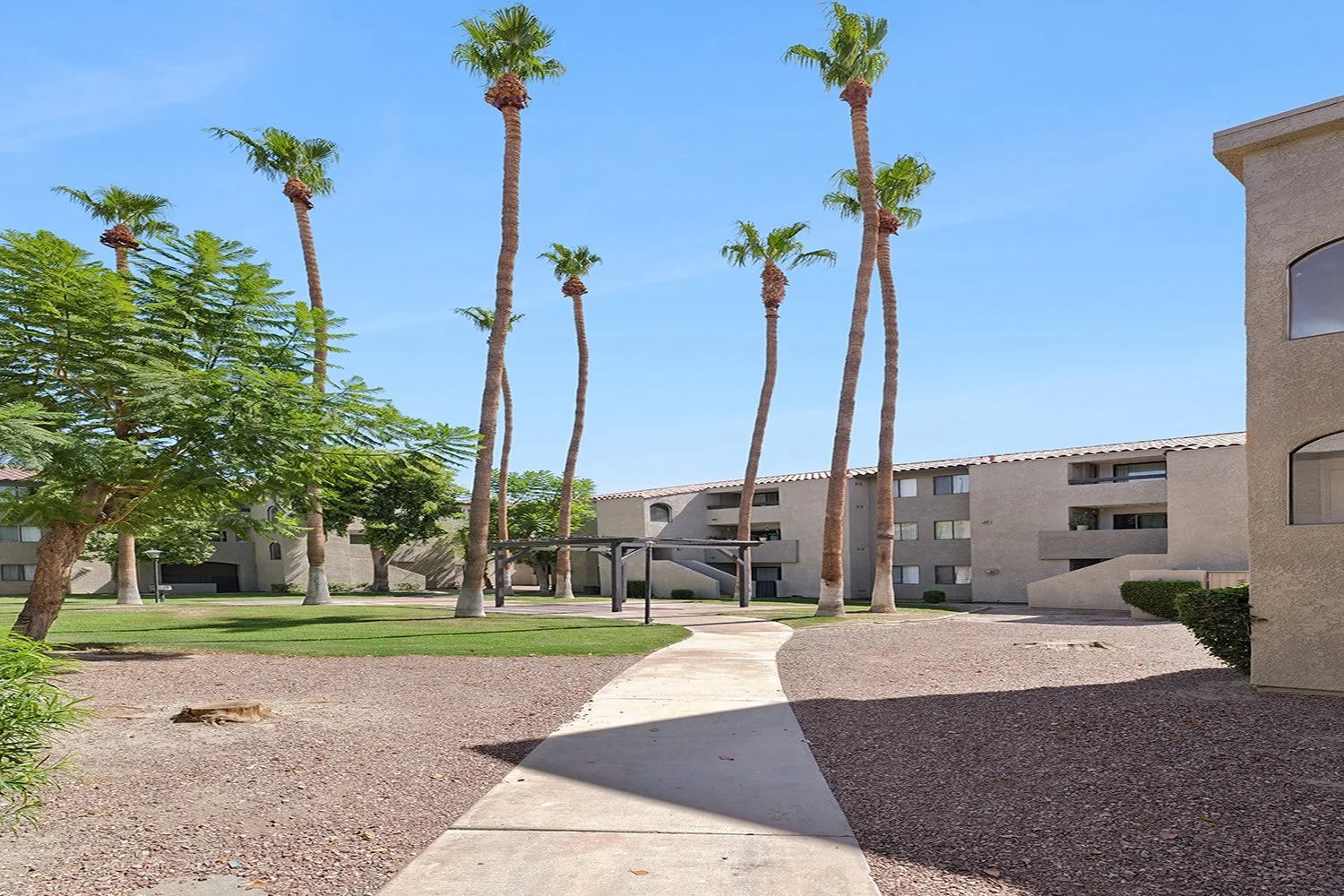 This image shows a concrete walkway leading into a courtyard, accompanied by gravel landscaping and a green grass lawn. flanked by desert gravel landscaping and a green grass lawn surrounded by apartment buildings. 
