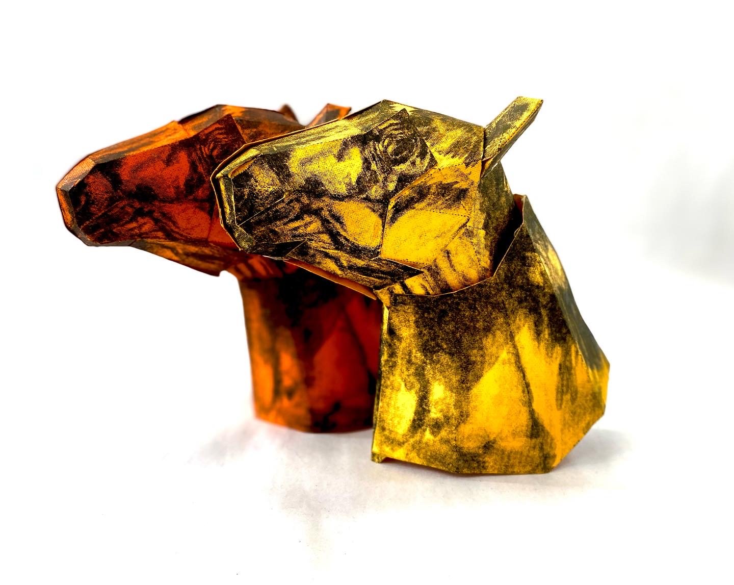 B6572B75-285B-402E-8ADF-05BC8FEA7EED 2.JPG