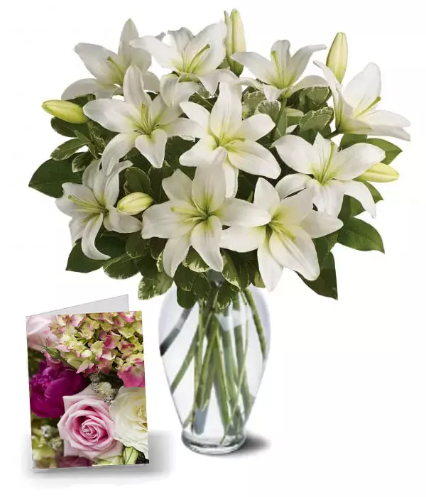 Luxe Lillies
