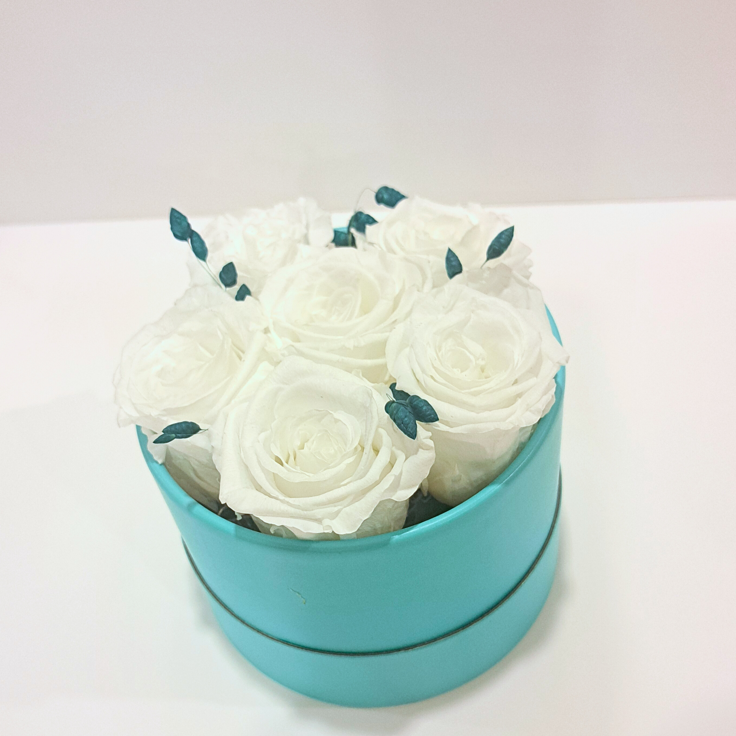 Turquoise Collection 2.png