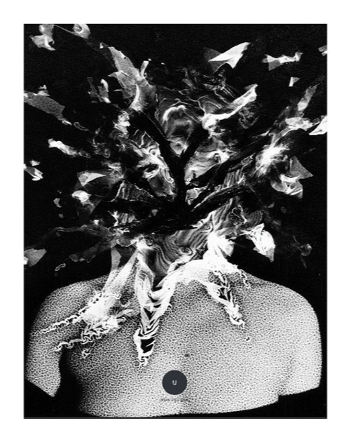 ( 3 ) WILD
- Urban Spree Books
