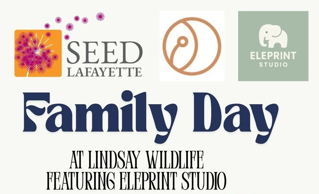 Family Day at Lindsay Wildlife