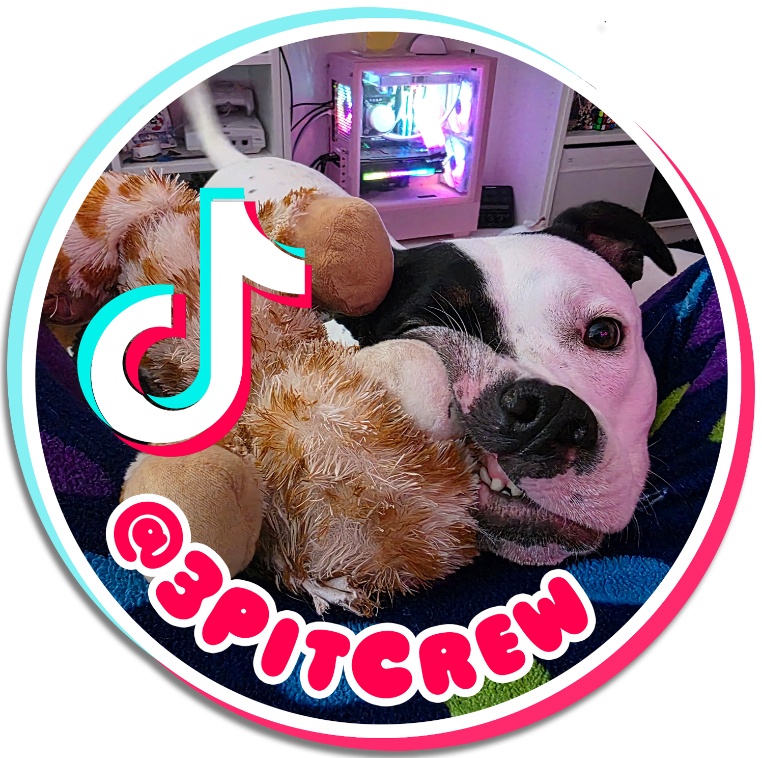 A dog lying on a bed with a plush toy in its paws, with a computer and colorful lights in the background.