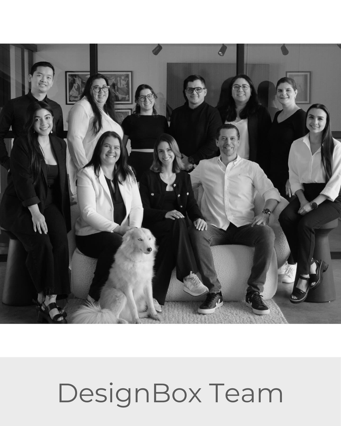 Meet our team!
