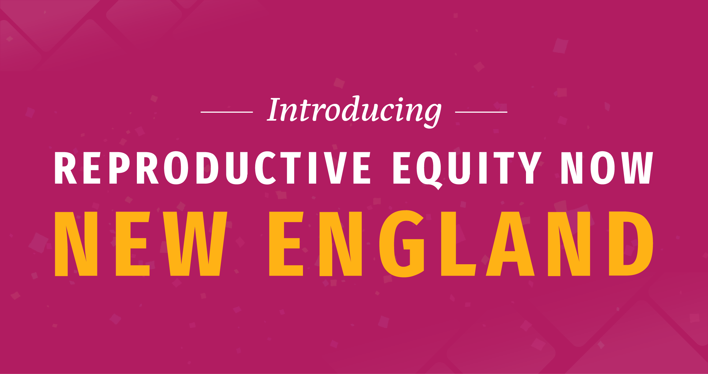 We’re taking this Fight Regional: Repro Equity Now’s Expansion Across New England