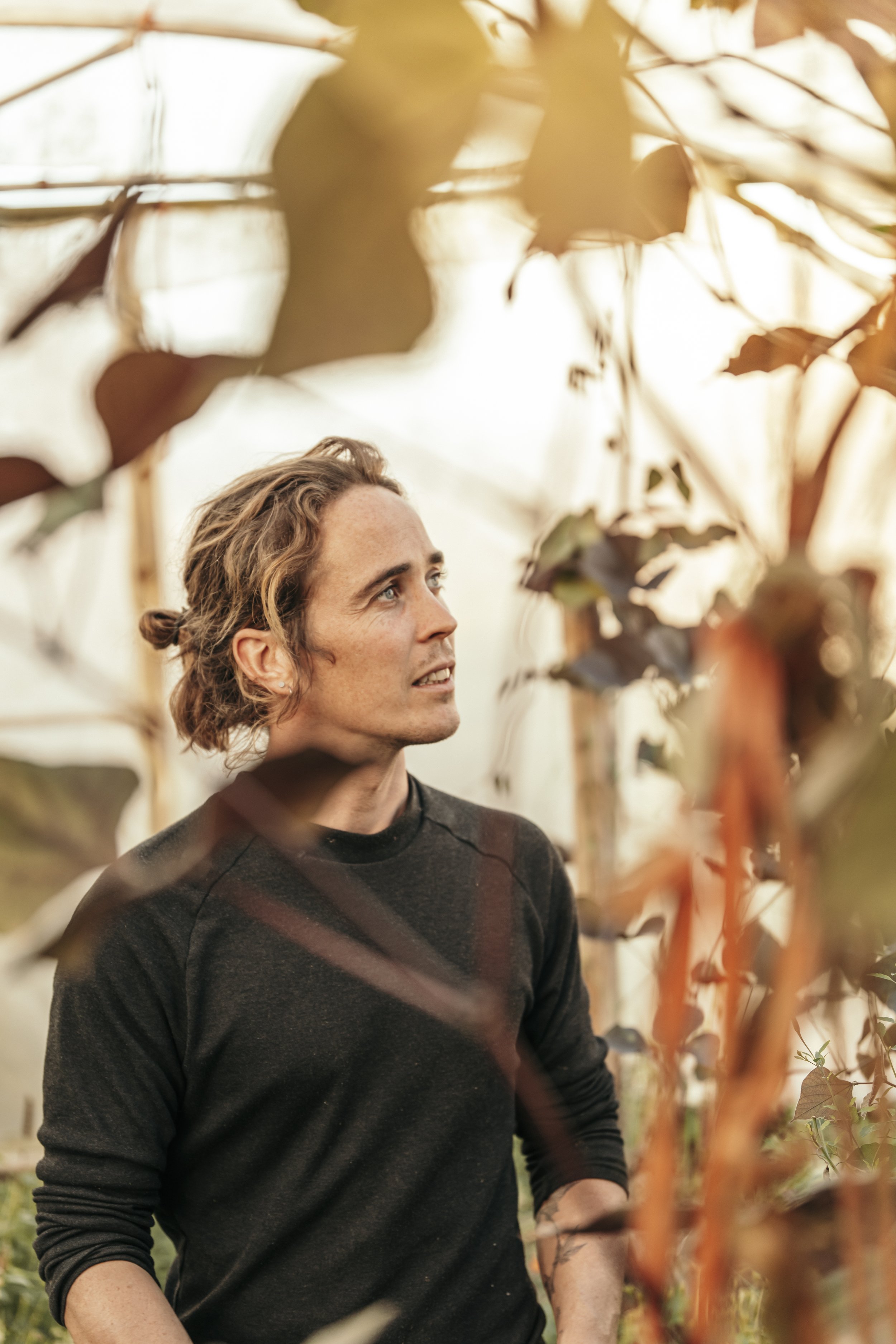 Découvrez l'univers passionnant d'Antoine Vanderkelen, expert en horticulture et fondateur de Terres Gourmands, à travers ce portrait exclusif. Le photographe Julien Mathy capture l'authenticité et la sérénité de cet homme passionné, entouré de ses p