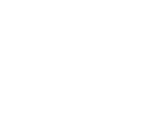 Angela Chicone Wellness