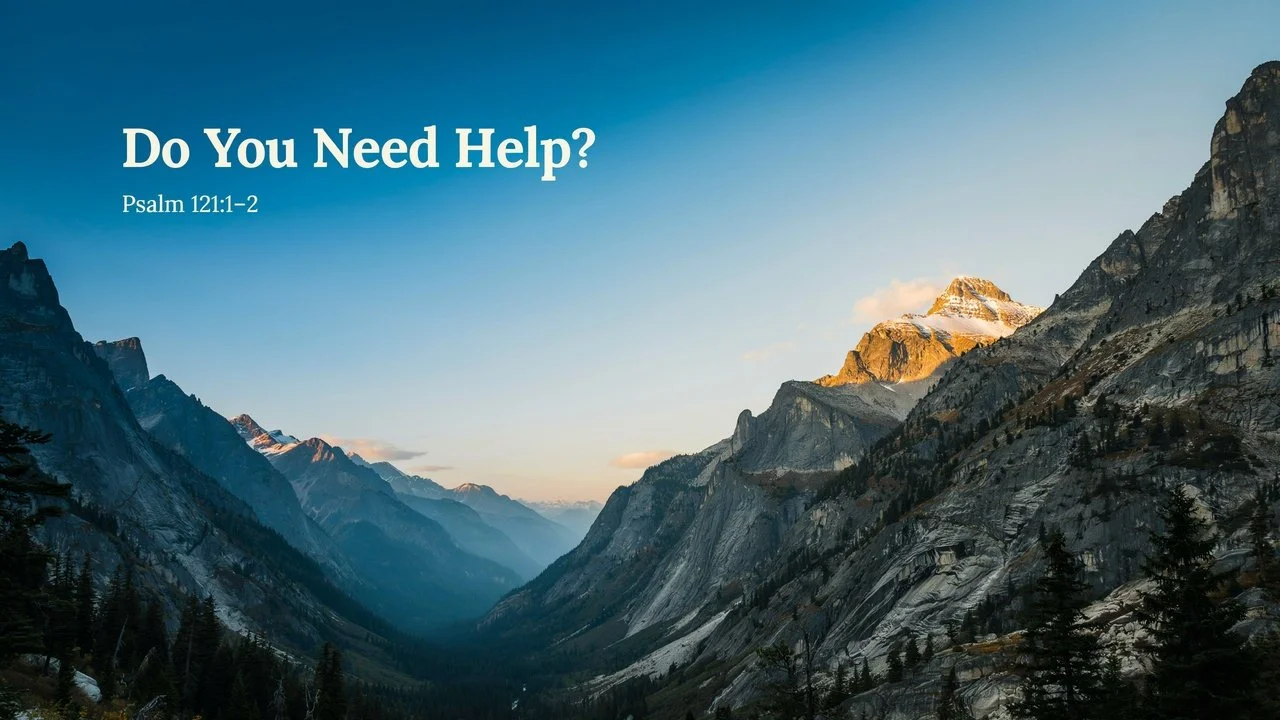 Do You Need Help?
