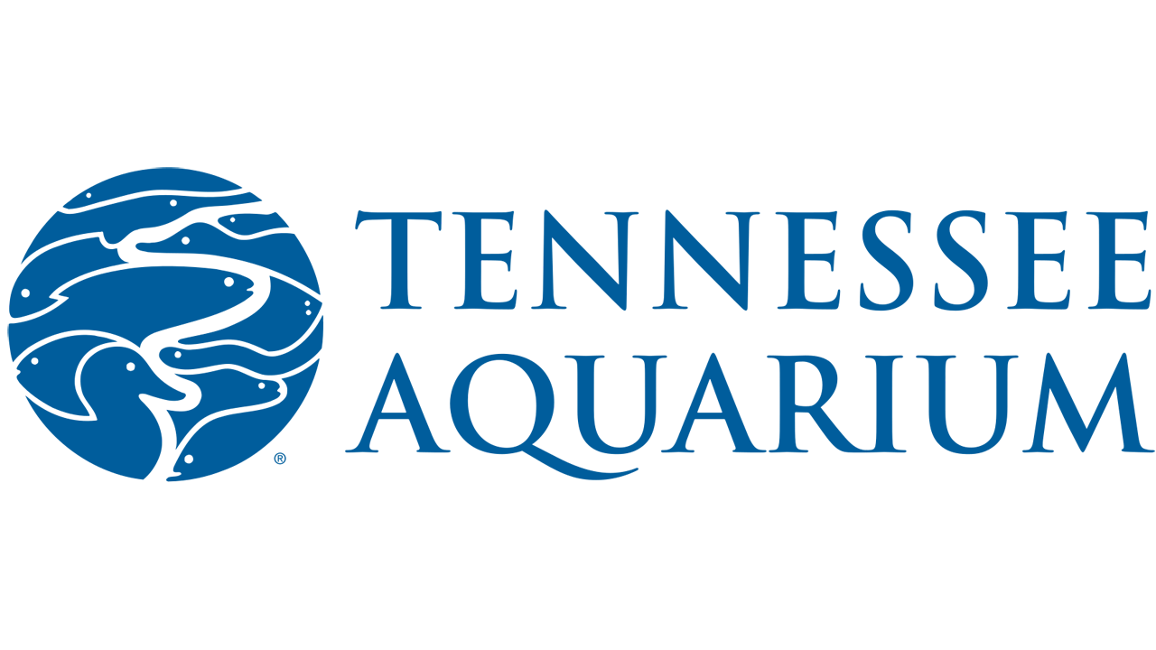 Tennessee Aquarium
