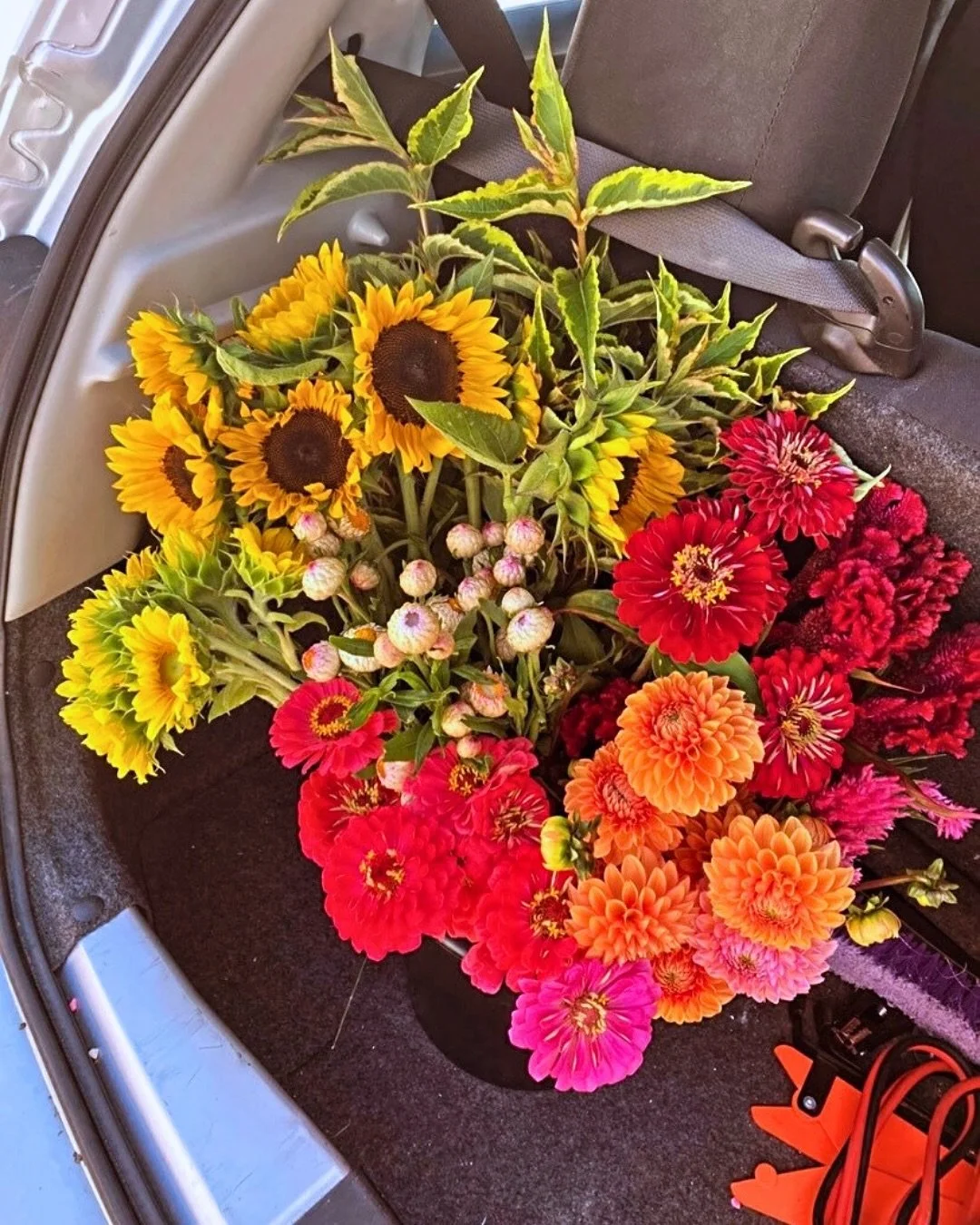 Not sure how to choose your wedding colour pallet? Here&rsquo;s so tips on how I create modern, romantic floral colour stories that feel timeless and personal.

1. Start with your venue! Are there any colours highlighted on the walls or in the decor?