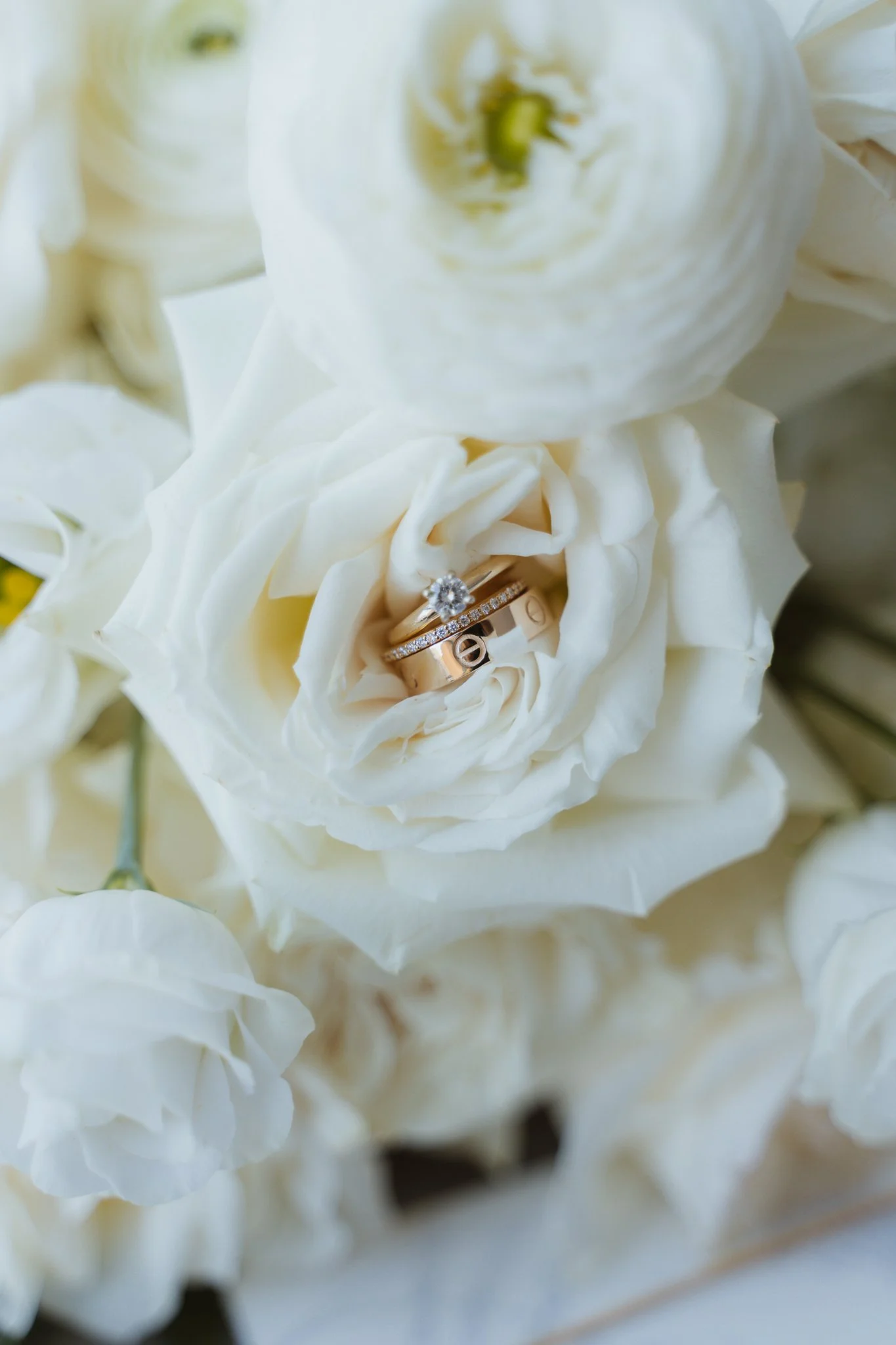 Rachel & Marc Full Gallery 2025-05-12-47.jpg