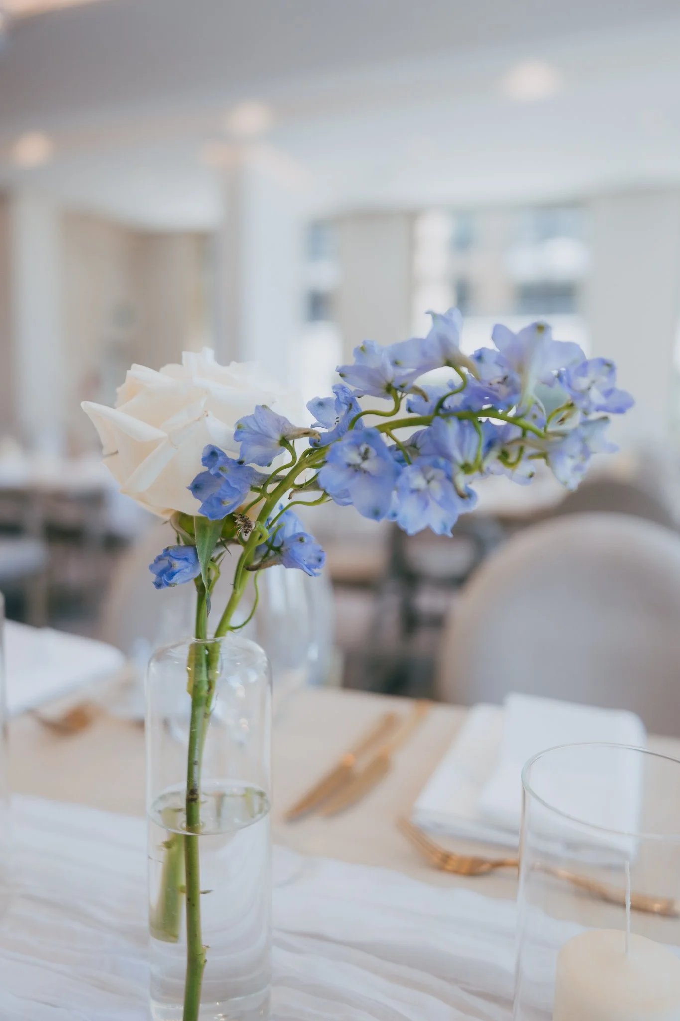 Rachel & Marc Full Gallery 2025-05-12-104.jpg