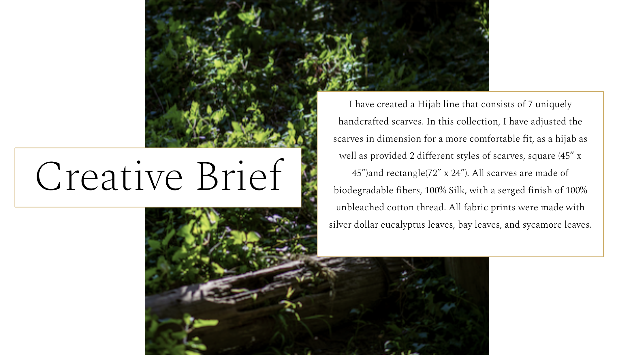 Screenshot 2024-11-18 at 4.13.47 PM.png