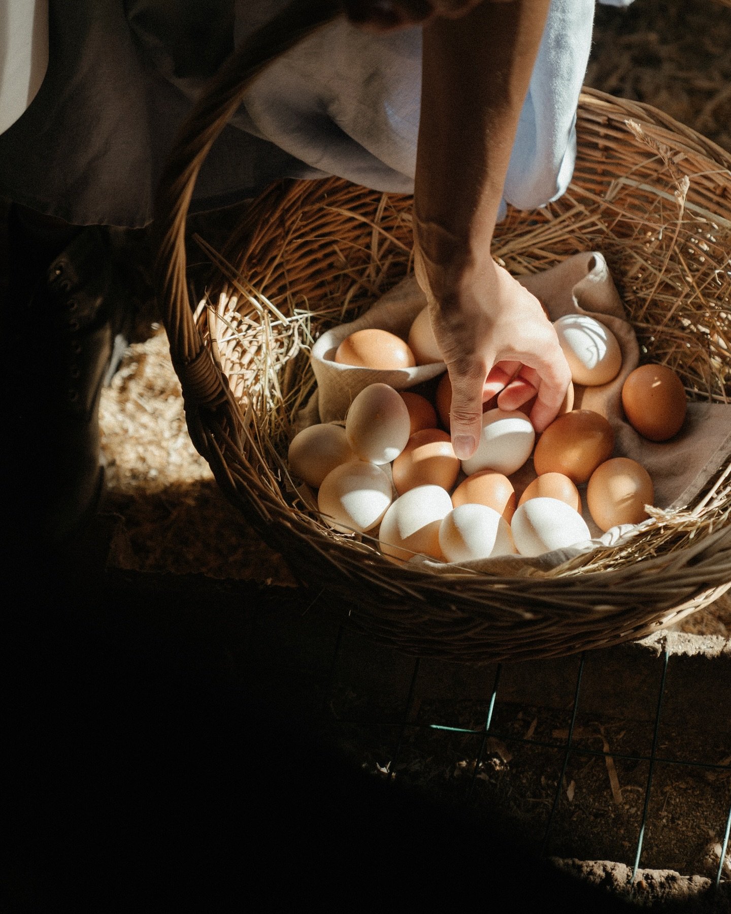 The saying &ldquo;Don&rsquo;t put all your eggs in one basket&rdquo; doesn&rsquo;t quite apply to real estate investing. Real estate isn&rsquo;t just one investment type&mdash;it offers a diverse range of opportunities, from multifamily and commercia