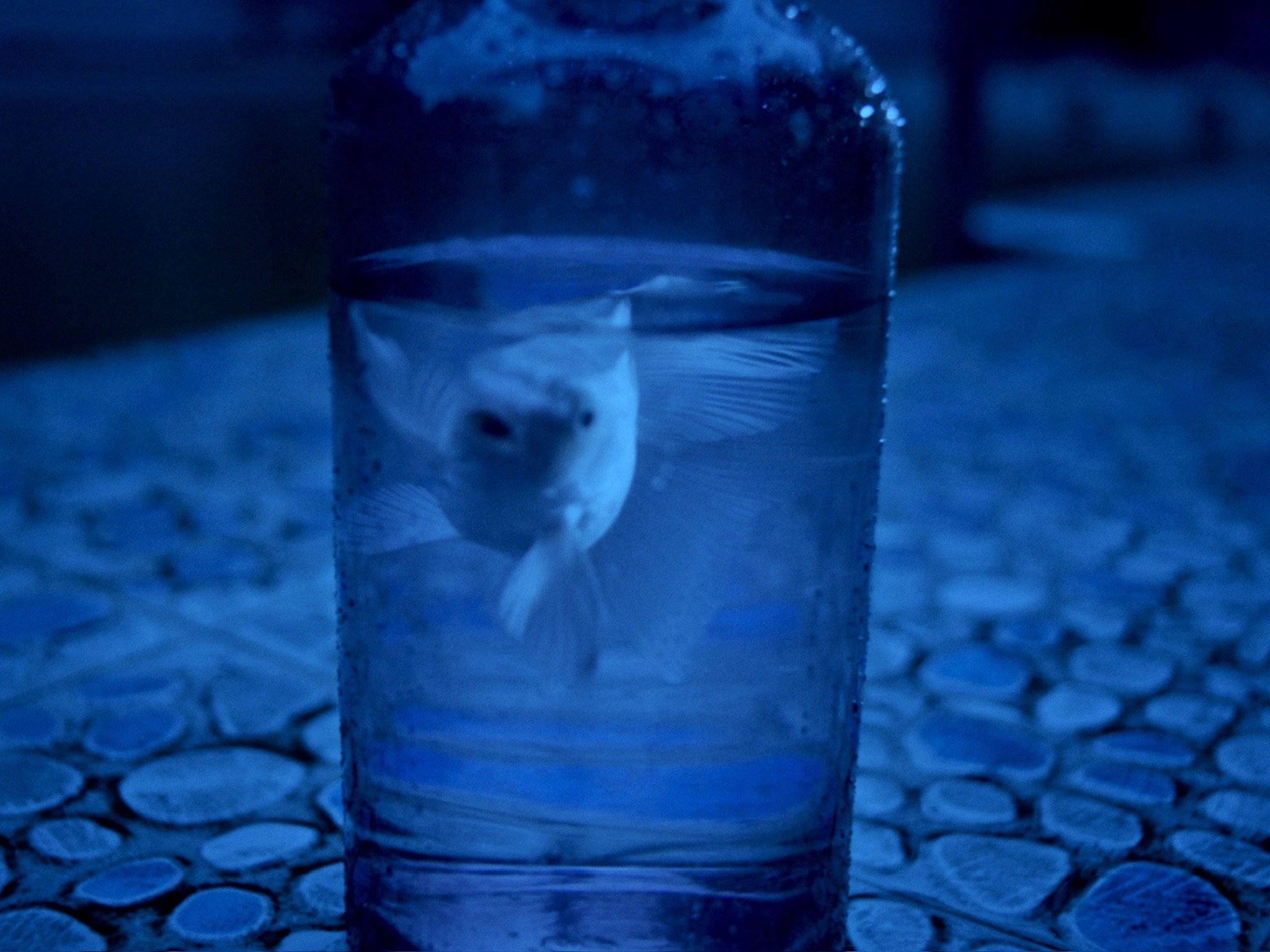 ae4168e438d079f922b52e23a7ae140d.jpeg