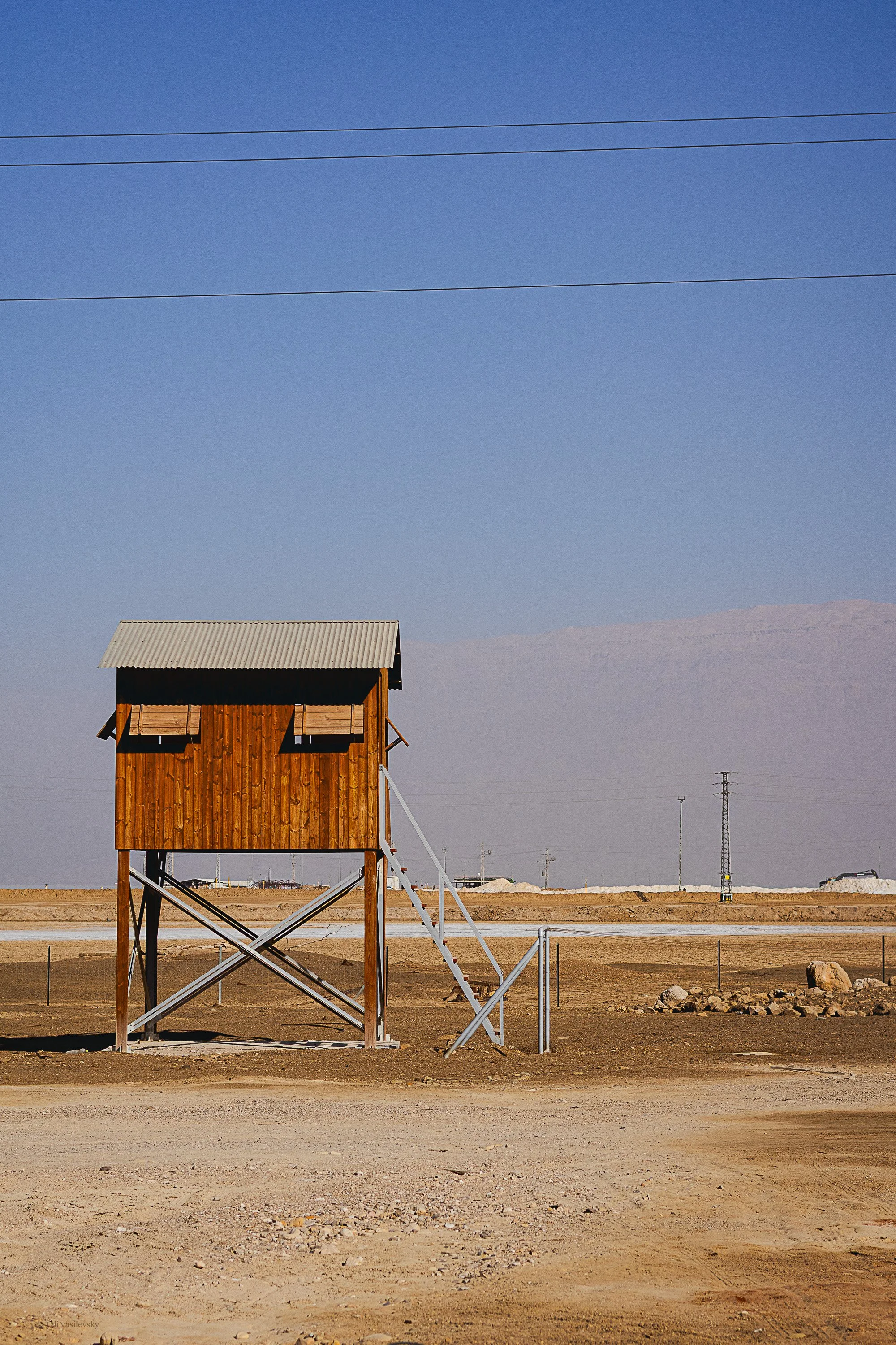 Tali Vasilevsky Photography -19.jpg