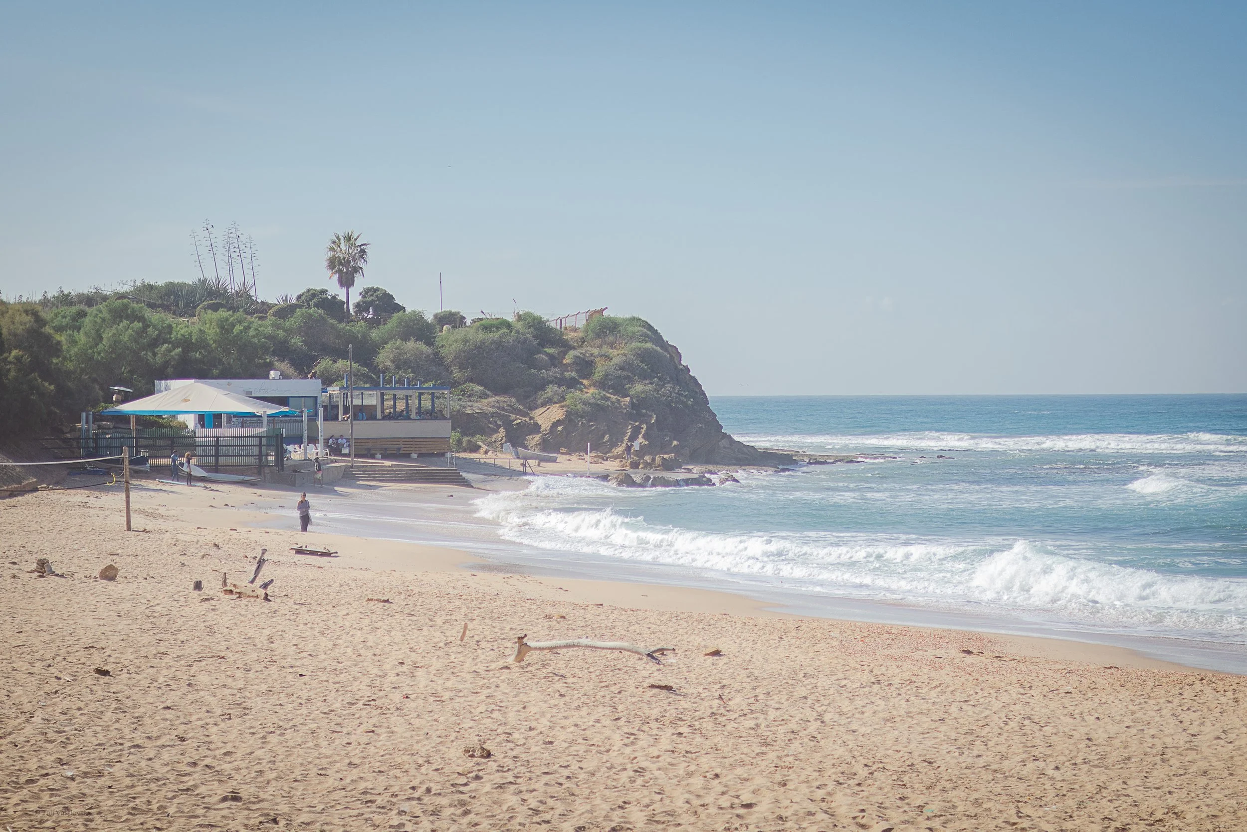 Tali Vasilevsky Photography -46.jpg